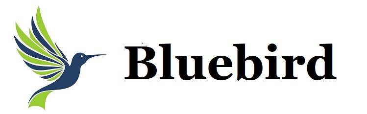 算命学鑑定サロン　Bluebird_HOME